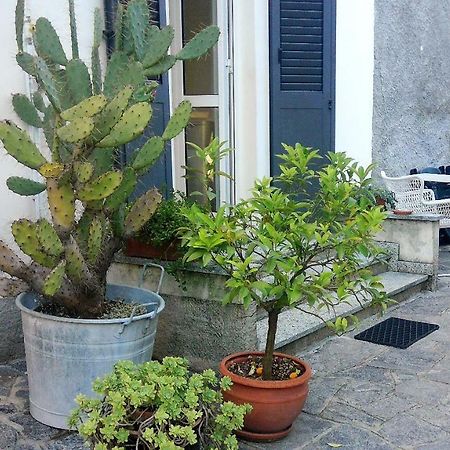 All'Ombra Dei Tassi Манделло-дель-Ларио Экстерьер фото